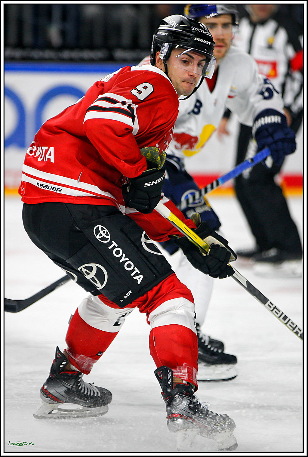 PENNY DEL; Koelner Haie- Red BUll Muenchen; Koeln, 08.11.2022